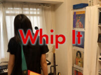 Whip It - ディーヴォ covered by ITOI Akane