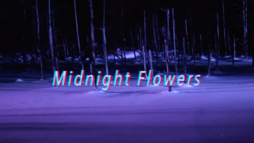 Midnight Flowers- Sensu Planet & The Howling Fish