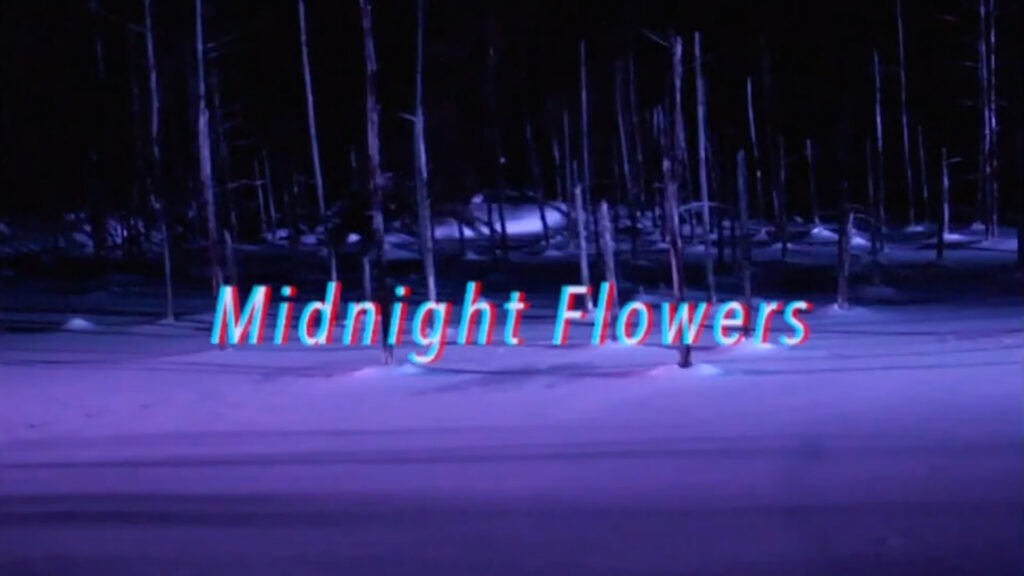 Midnight Flowers - Sensu Planet & The Howling Fish | MV