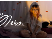 猫 - DISH// covered by Natsu no Film